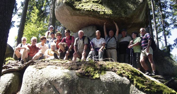 A large group of hikers posed on a rocky outcrop in a forest.