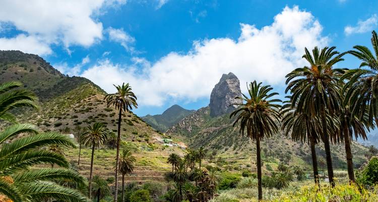 Palmiers et paysage montagneux sous un ciel bleu.