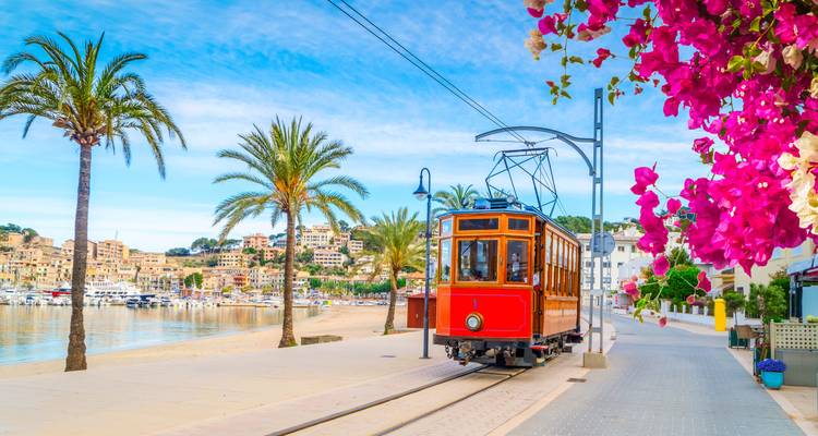 A tram passing by the beach with palm trees and brightly colored flowers.