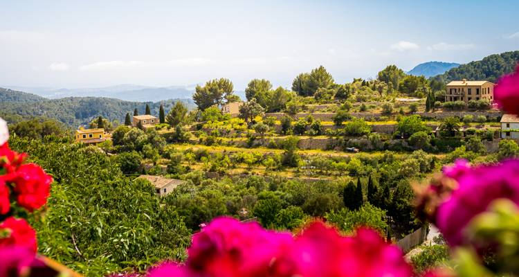 Picturesque terraced landscape with lush greenery.