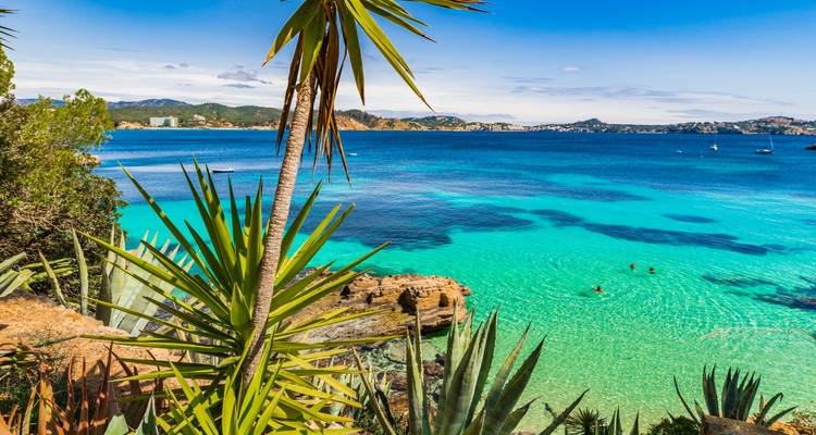 Seaside view with turquoise water and palm trees.