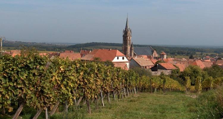 View over vineyards toward a village with a prominent church spire.