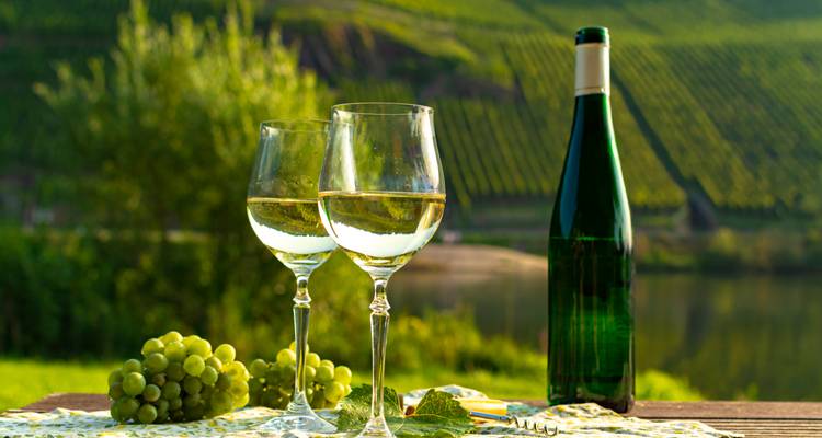 Two glasses of white wine next to a vineyard with grapes.