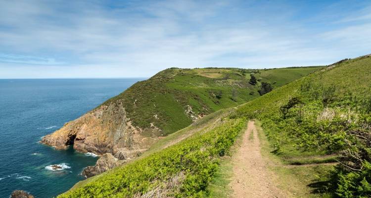 Sentier le long d'un sommet verdoyant avec vue sur l'océan.
