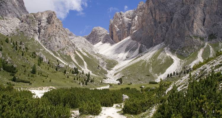 Vallée de montagne avec des pics rocheux et des zones herbeuses.