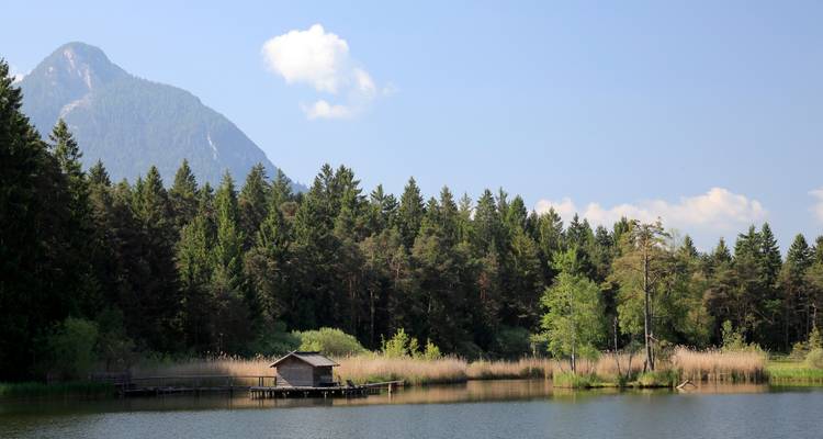 Lac tranquille avec une petite cabane en bois et forêt en arrière-plan.
