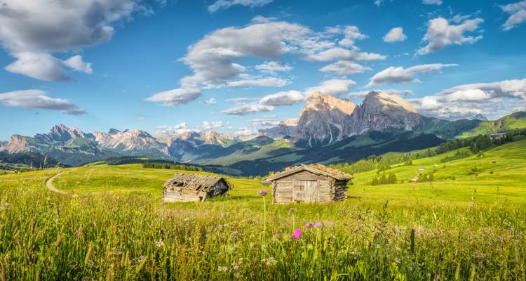 Wildflower-filled pasture with two weathered cabins set against a panorama of jagged peaks and open skies.
Weideveld vol met wilde bloemen met twee verweerde hutten tegen een panorama van ruige pieken en open hemel.
