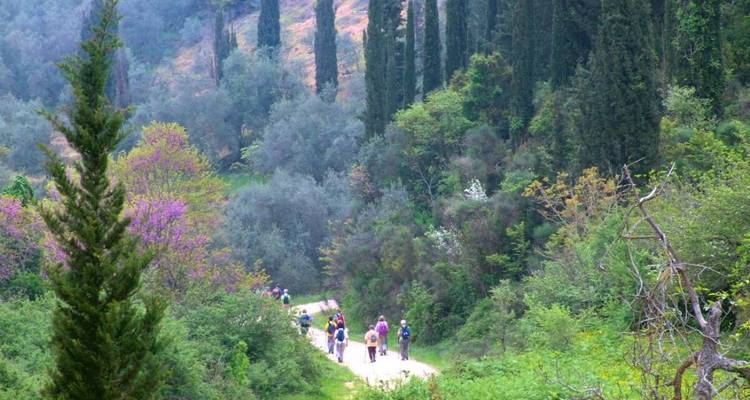Des personnes faisant de la randonnée sur un sentier à travers une forêt luxuriante.
