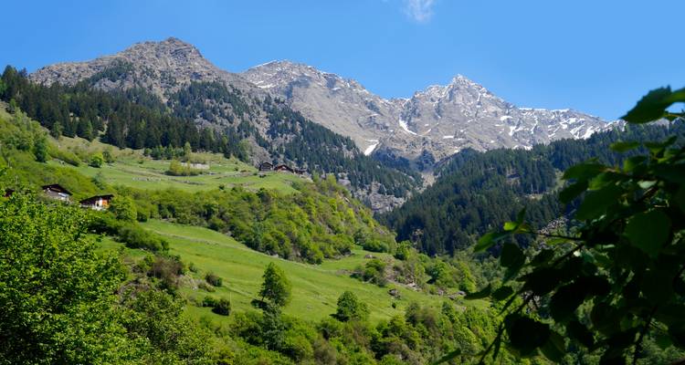 Bergige Landschaft mit üppig grünen Tälern und schneebedeckten Gipfeln.