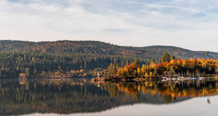 Vista pacífica del lago con follaje otoñal y reflejos.