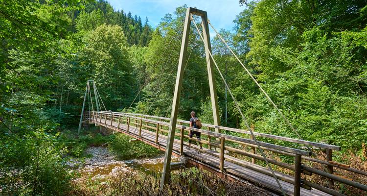 People crossing a bridge in a lush forest setting.
