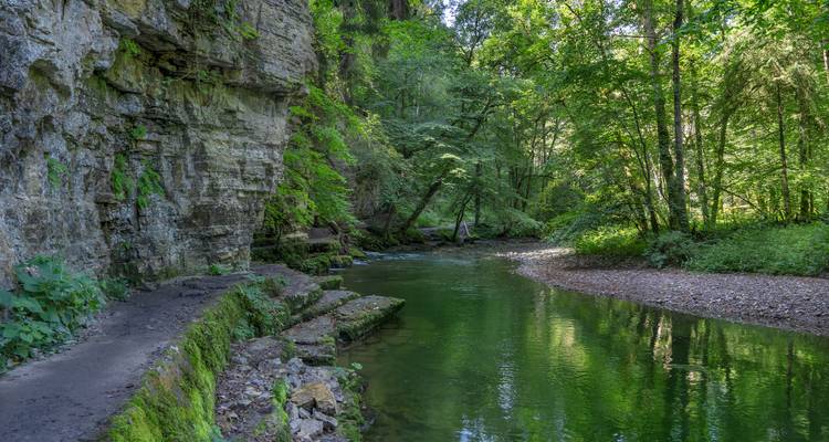 A tranquil river scene with rocky cliffs and forested surroundings.