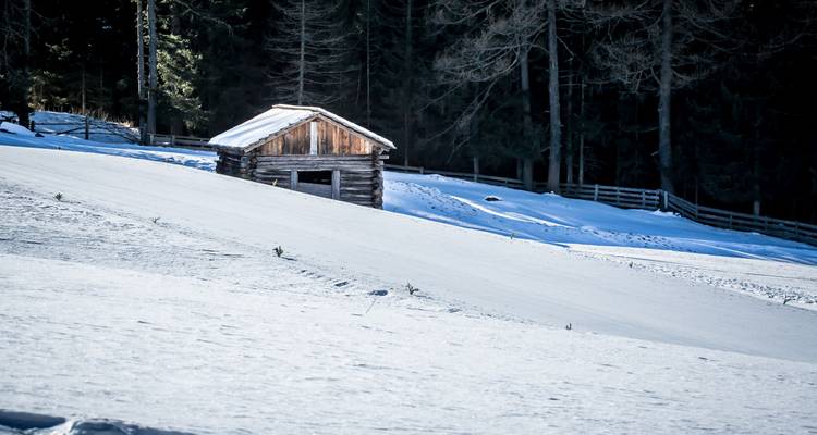 Kleine Holzhütte auf einem verschneiten Hügel mit Waldkulisse.