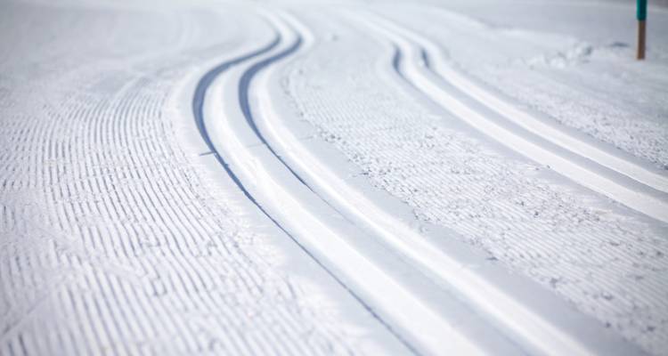 Nahaufnahme von Skispuren im unberührten Schnee.