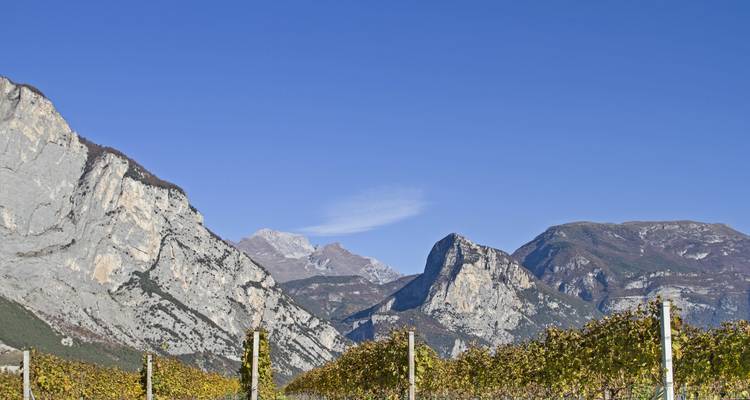 Weinberge am Fuße dramatischer Kalksteinberge unter klarem Herbsthimmel.