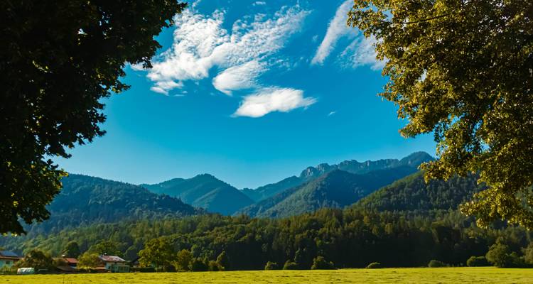 Paysage de montagne vu à travers un cadre d'arbres avec ciel bleu.