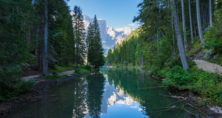 Serene lake reflecting a mountain range with tall trees.