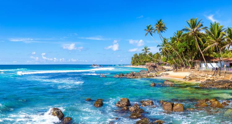 Una vista costera tropical con mar azul y palmeras.