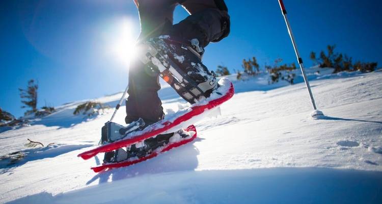 Gros plan de raquettes et de bâtons en utilisation sur une pente enneigée.