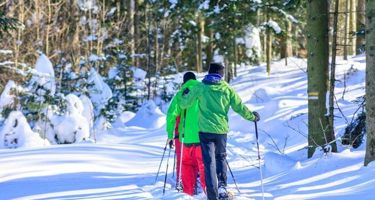 Two individuals walking with snowshoes on a snowy trail.