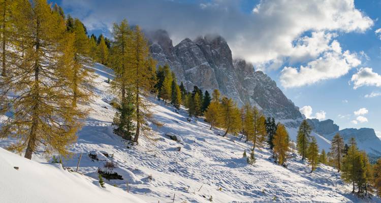 Montaña inclinada cubierta de nieve con árboles dorados de otoño bajo un cielo dramático.