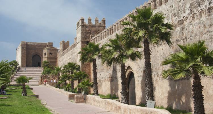 Historische Stadtmauern mit Palmen davor.