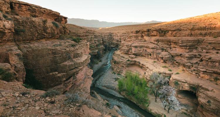 Blick auf einen Fluss, der sich durch eine zerklüftete Canyonlandschaft schneidet.