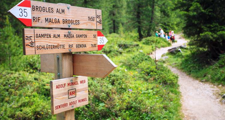 Wegwijzers die naar verschillende bergpaden wijzen.