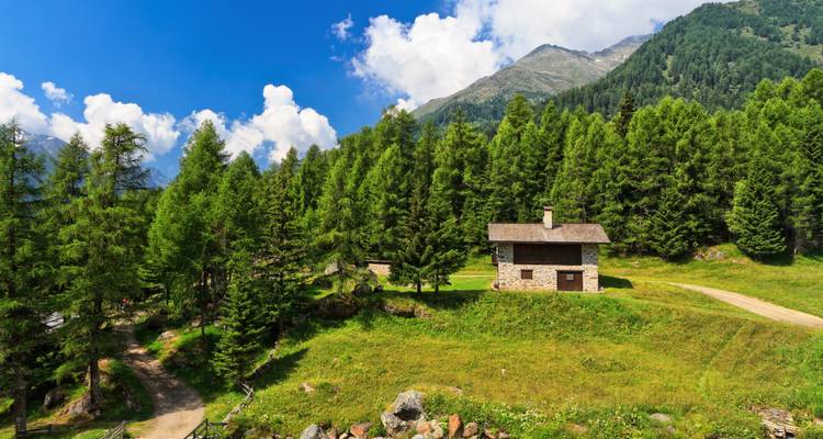 Abgelegene Steinhütte, umgeben von dichtem Kiefernwald am Fuße alpiner Hänge.