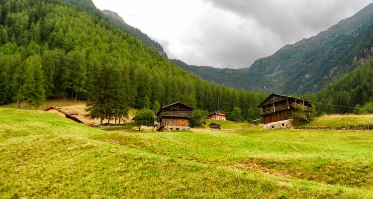 Rustikale Holzbauernhäuser, verstreut über eine üppige Alpwiese unter bewaldeten Hügeln.
