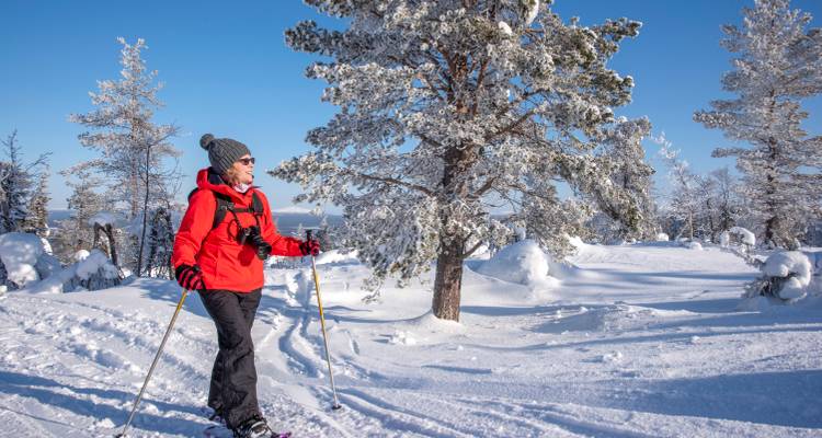 Personne faisant du ski à travers une forêt enneigée sous un ciel bleu dégagé.