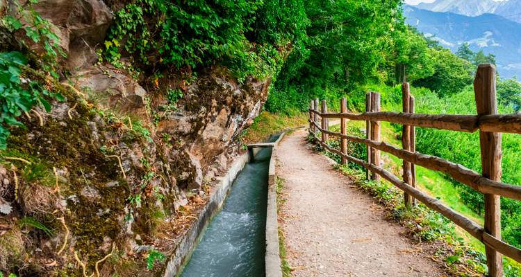 Sendero estrecho con un canal de agua a un lado en un entorno verde y exuberante.