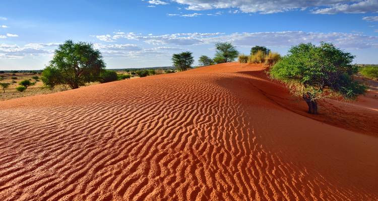 Rötliche Sanddünen mit Bäumen unter einem teilweise bewölkten Himmel.
