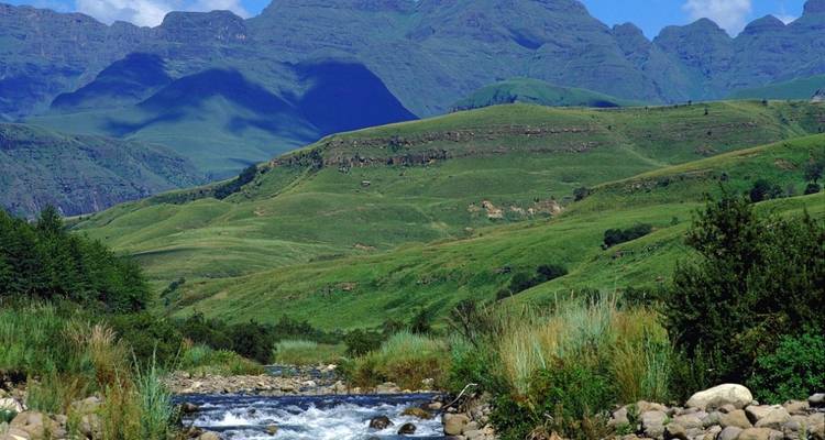 Lush green landscape with a river and mountain backdrop.
