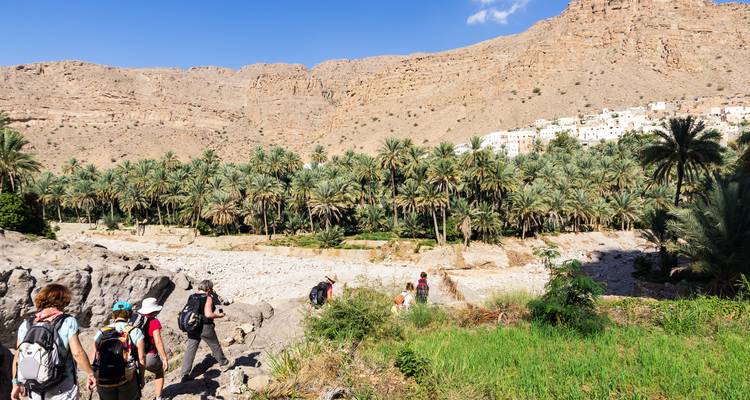 Group of hikers walking through a rocky landscape with palm trees.