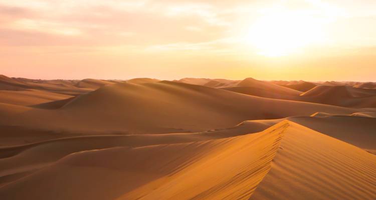 Expansive desert landscape with sand dunes and sunlight.