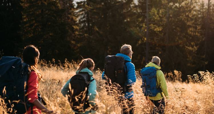Groep wandelaars die door hoog gras en bos lopen.