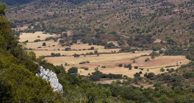 Dry inland Algarve valley with patchwork fields and scattered cork oaks viewed from a hillside.