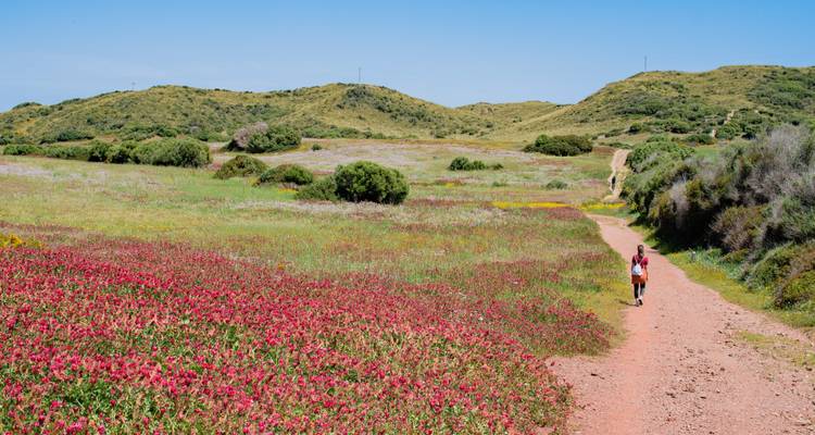 Excursionista en un prado lleno de flores bajo un cielo azul despejado.