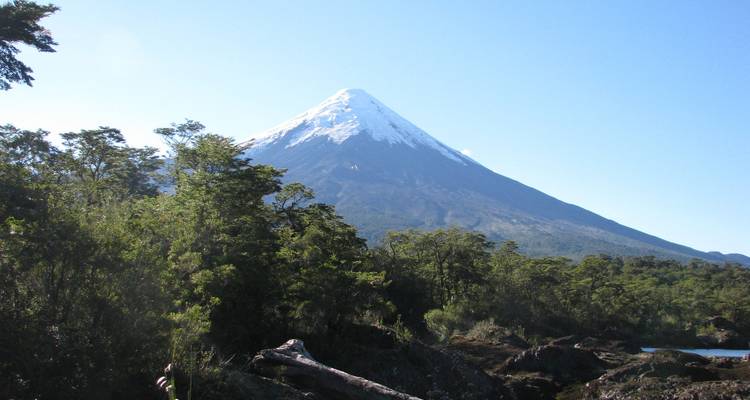 Zone boisée avec un volcan enneigé proéminent.
