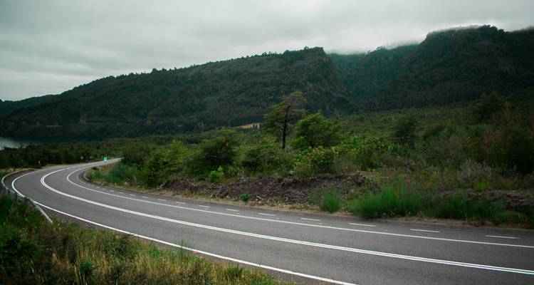 Kronkelende weg door een weelderig groen bos onder een bewolkte hemel.