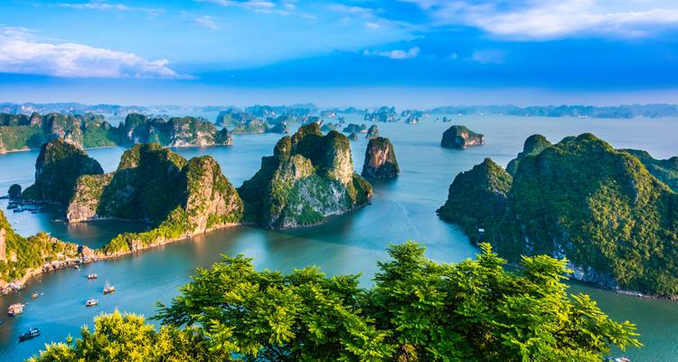 Weitläufiger Blick auf die Halong-Bucht mit Karstformationen.