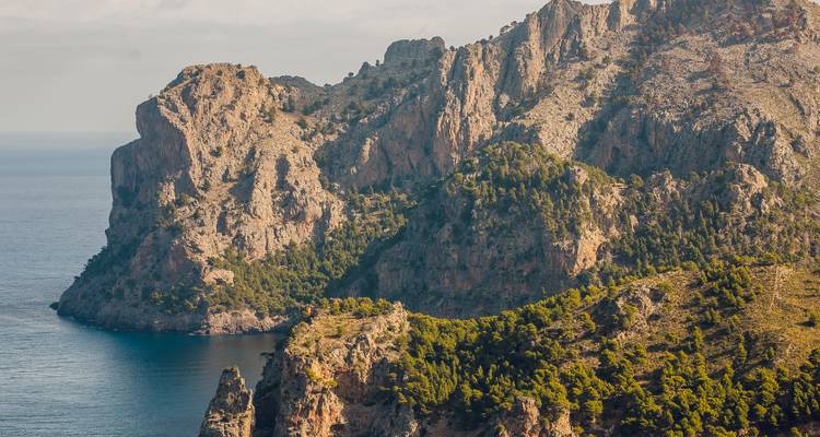 Une falaise spectaculaire au bord de mer avec une végétation luxuriante.