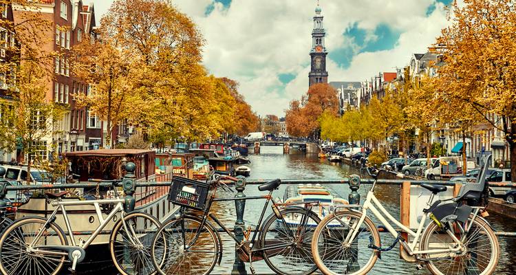 Autumn scene of an Amsterdam canal lined with golden trees, bicycles on a bridge and Westerkerk tower beyond.