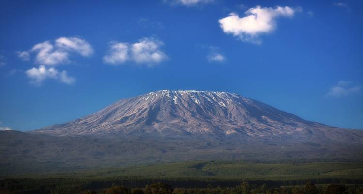 Fernblick auf einen Berg mit Bäumen im Vordergrund unter blauem Himmel.