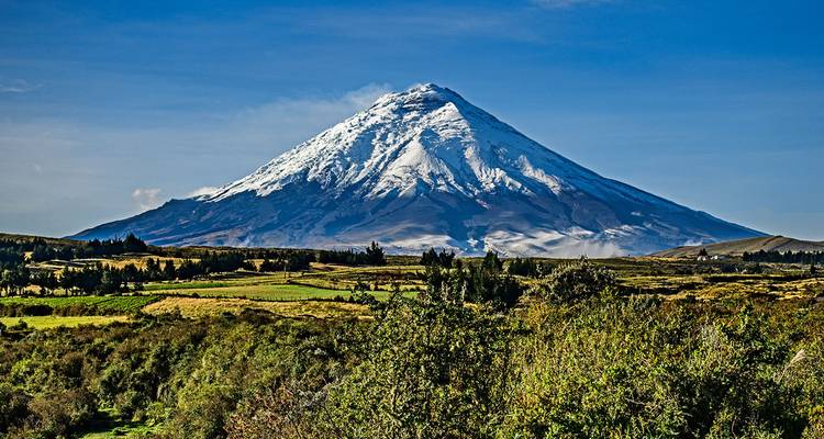 Vue majestueuse du volcan Cotopaxi avec son sommet enneigé et un ciel dégagé.