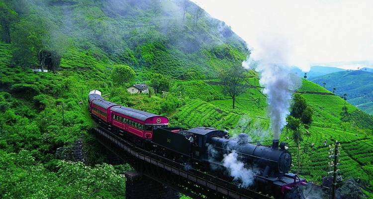 Ein Zug, der durch üppige grüne Hügel fährt.
