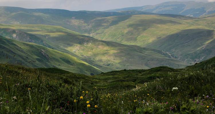 Vaste vallée verte avec des fleurs sauvages sous un ciel nuageux.