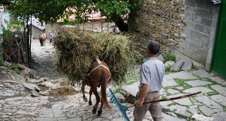 Personne avec un âne portant du foin marchant sur un chemin pavé.