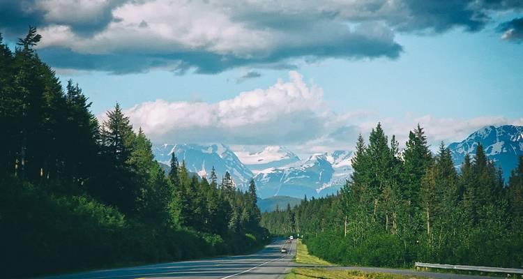 Route à travers une forêt avec des montagnes au loin.